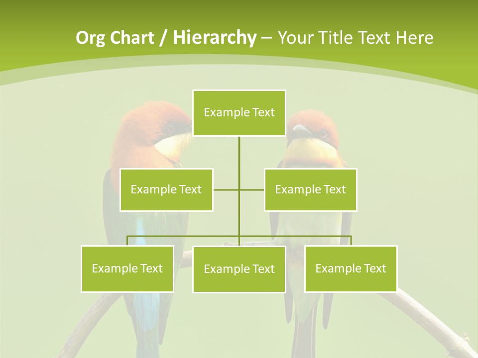 Two Colorful Birds Are Sitting On A Branch PowerPoint Template
