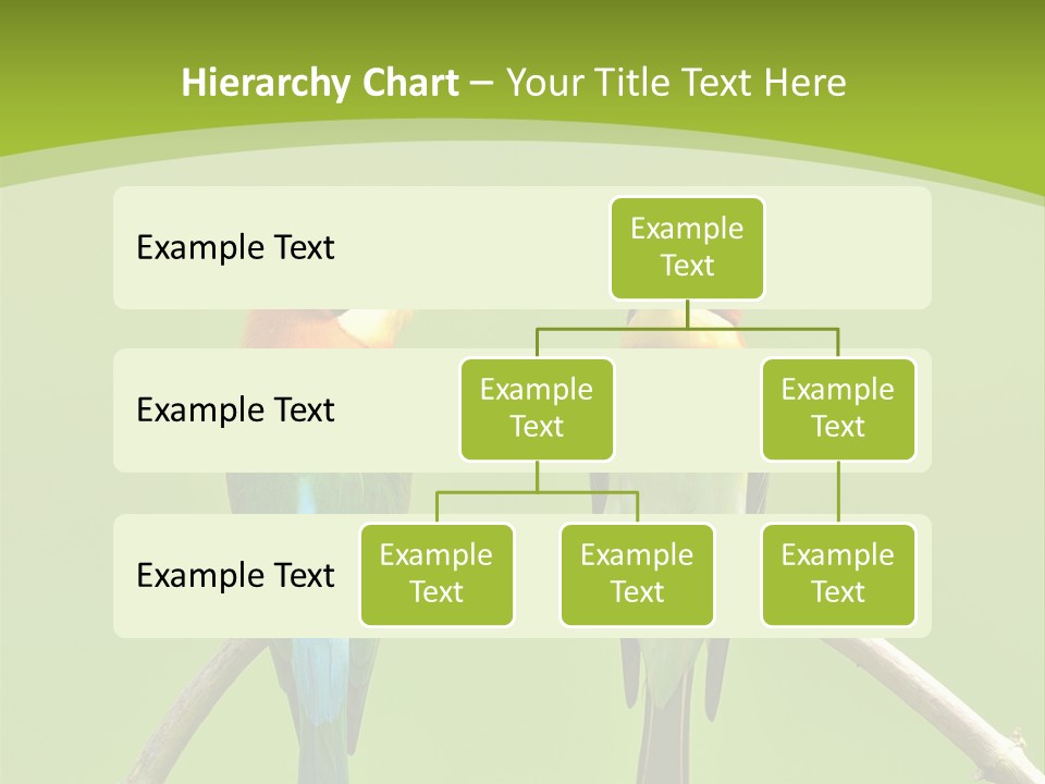 Two Colorful Birds Are Sitting On A Branch PowerPoint Template