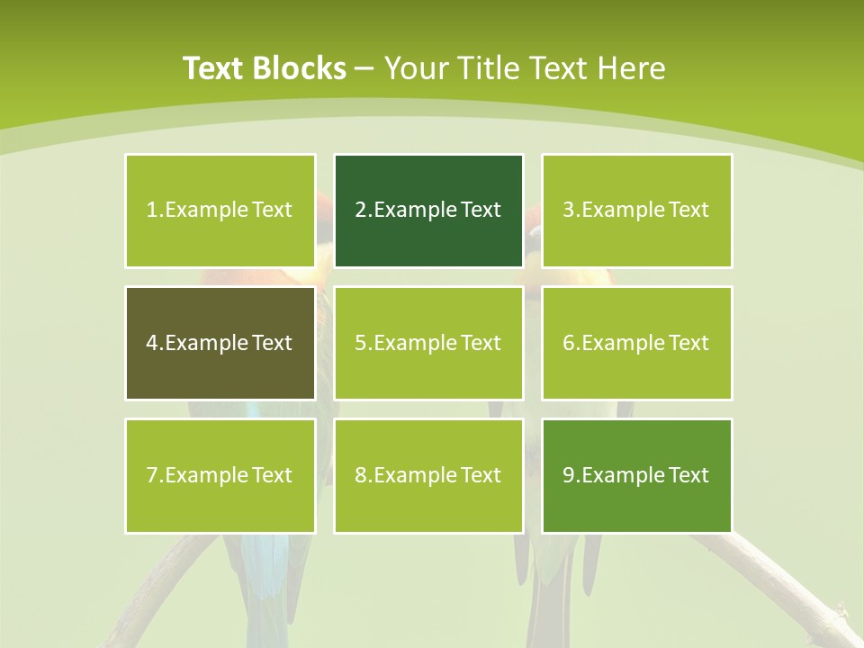 Two Colorful Birds Are Sitting On A Branch PowerPoint Template