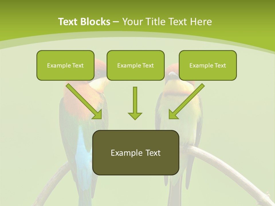 Two Colorful Birds Are Sitting On A Branch PowerPoint Template