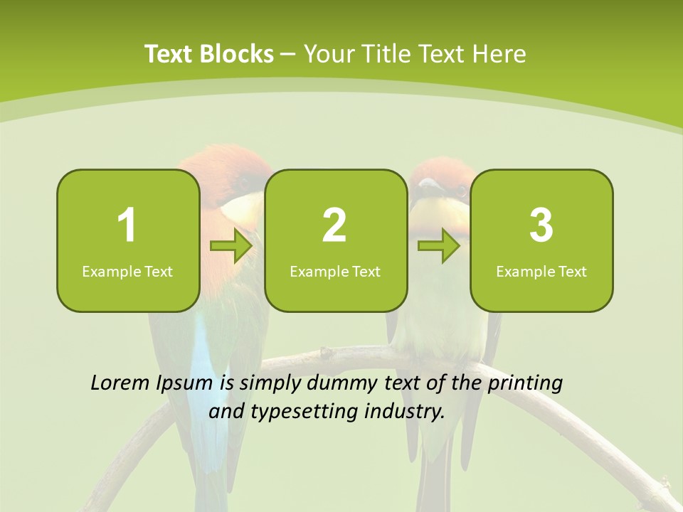 Two Colorful Birds Are Sitting On A Branch PowerPoint Template
