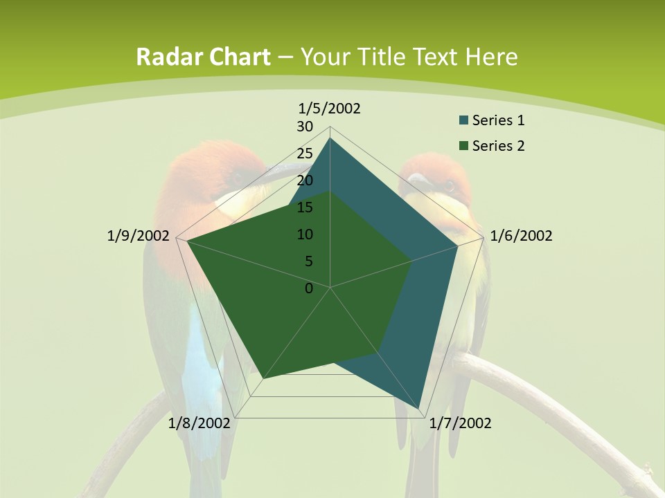 Two Colorful Birds Are Sitting On A Branch PowerPoint Template