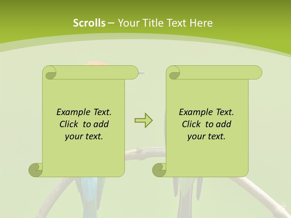 Two Colorful Birds Are Sitting On A Branch PowerPoint Template