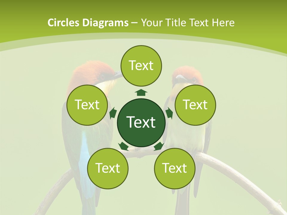 Two Colorful Birds Are Sitting On A Branch PowerPoint Template