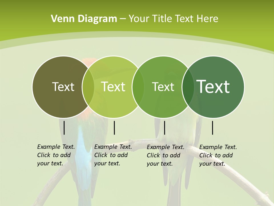 Two Colorful Birds Are Sitting On A Branch PowerPoint Template
