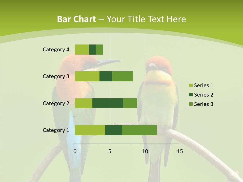 Two Colorful Birds Are Sitting On A Branch PowerPoint Template
