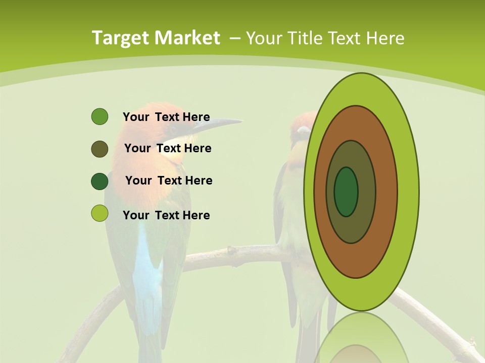 Two Colorful Birds Are Sitting On A Branch PowerPoint Template