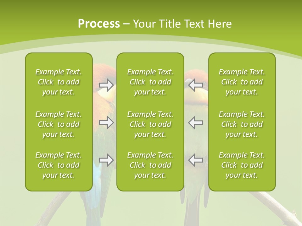 Two Colorful Birds Are Sitting On A Branch PowerPoint Template