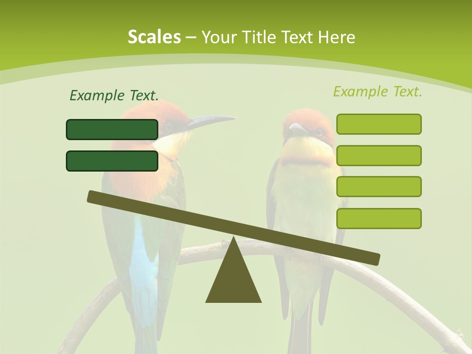 Two Colorful Birds Are Sitting On A Branch PowerPoint Template