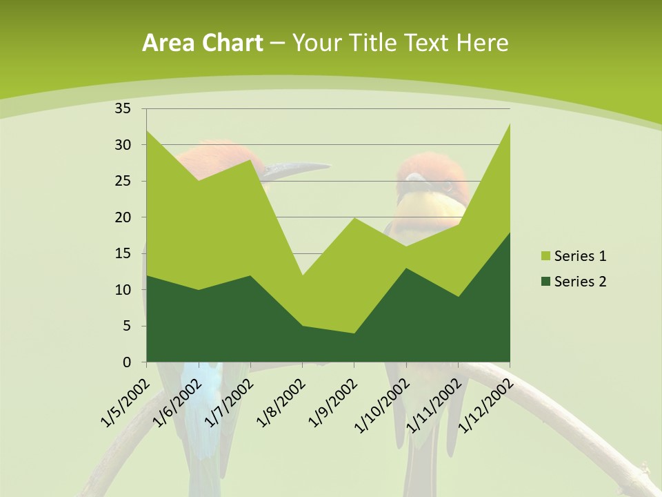 Two Colorful Birds Are Sitting On A Branch PowerPoint Template