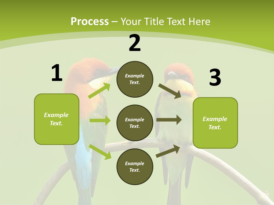 Two Colorful Birds Are Sitting On A Branch PowerPoint Template