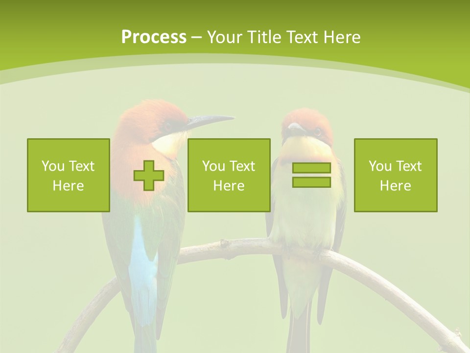 Two Colorful Birds Are Sitting On A Branch PowerPoint Template