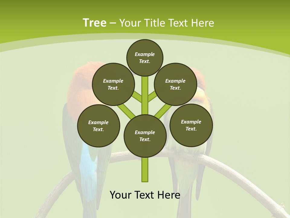 Two Colorful Birds Are Sitting On A Branch PowerPoint Template