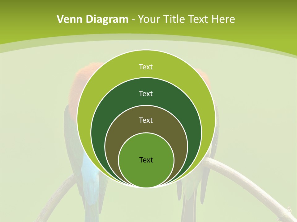 Two Colorful Birds Are Sitting On A Branch PowerPoint Template