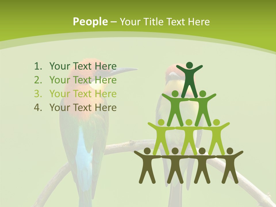 Two Colorful Birds Are Sitting On A Branch PowerPoint Template