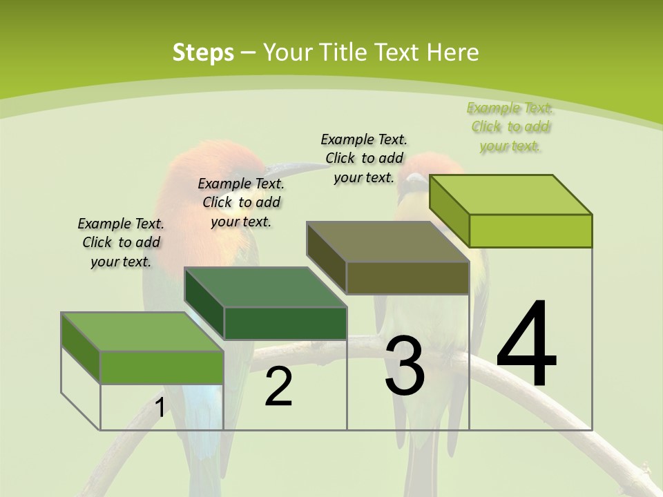 Two Colorful Birds Are Sitting On A Branch PowerPoint Template