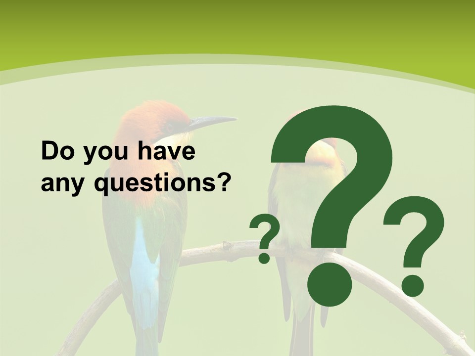 Two Colorful Birds Are Sitting On A Branch PowerPoint Template