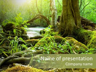 Wet Hike Woods PowerPoint Template