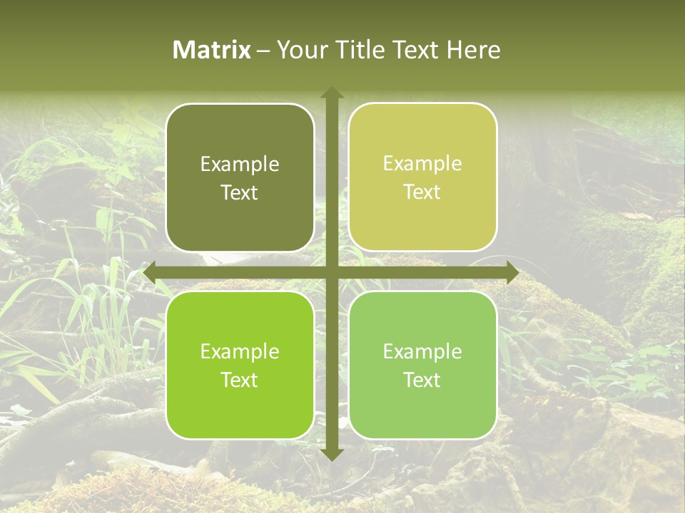 Wet Hike Woods PowerPoint Template