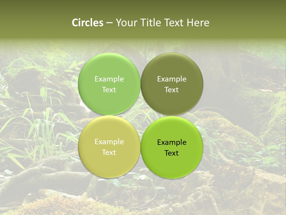 Wet Hike Woods PowerPoint Template