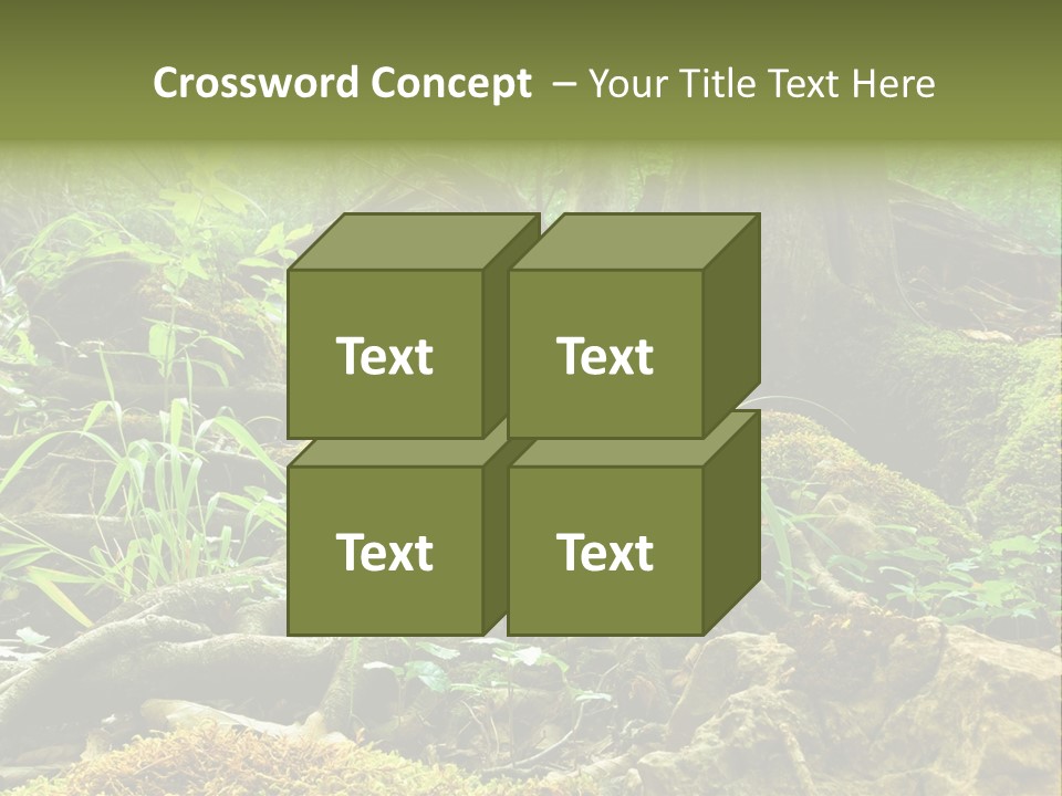 Wet Hike Woods PowerPoint Template