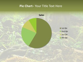 Wet Hike Woods PowerPoint Template