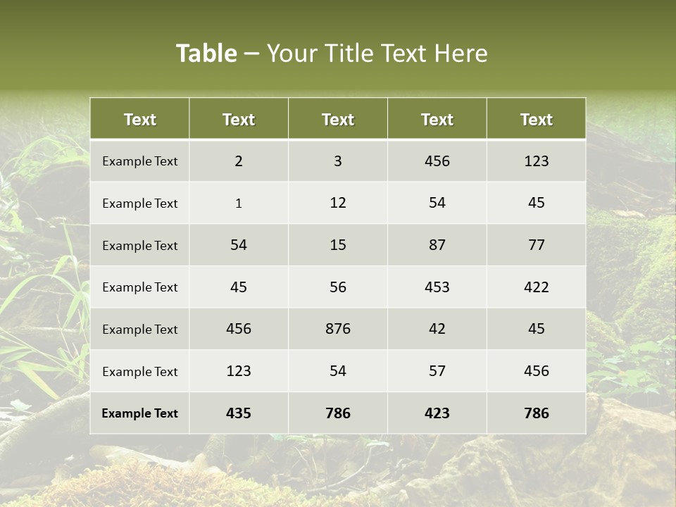 Wet Hike Woods PowerPoint Template