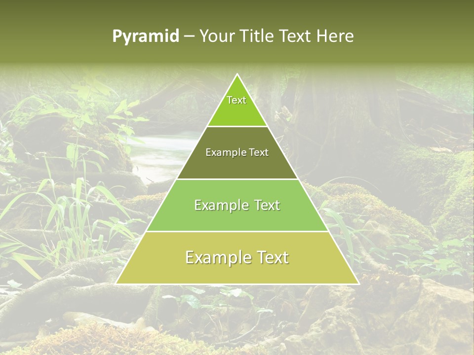 Wet Hike Woods PowerPoint Template