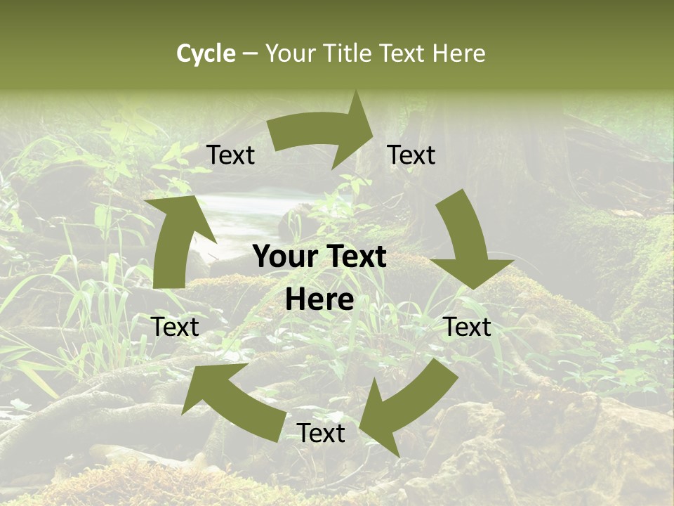 Wet Hike Woods PowerPoint Template