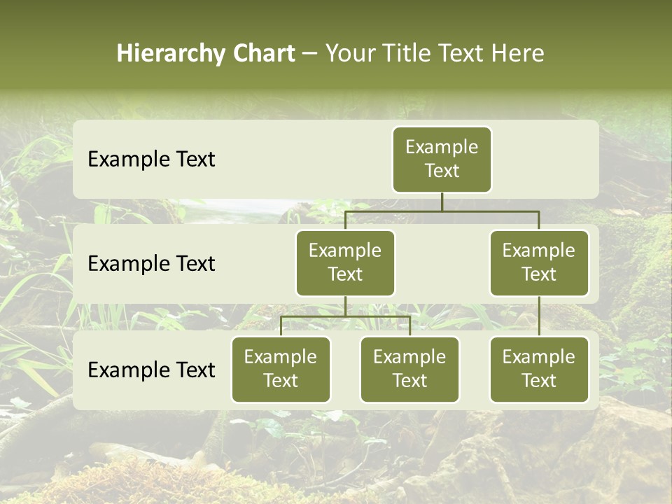Wet Hike Woods PowerPoint Template