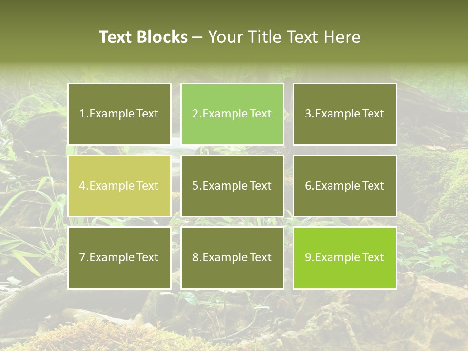 Wet Hike Woods PowerPoint Template