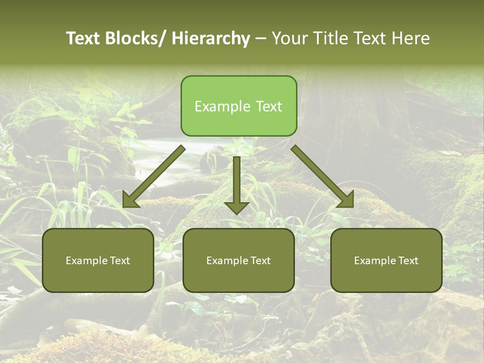 Wet Hike Woods PowerPoint Template