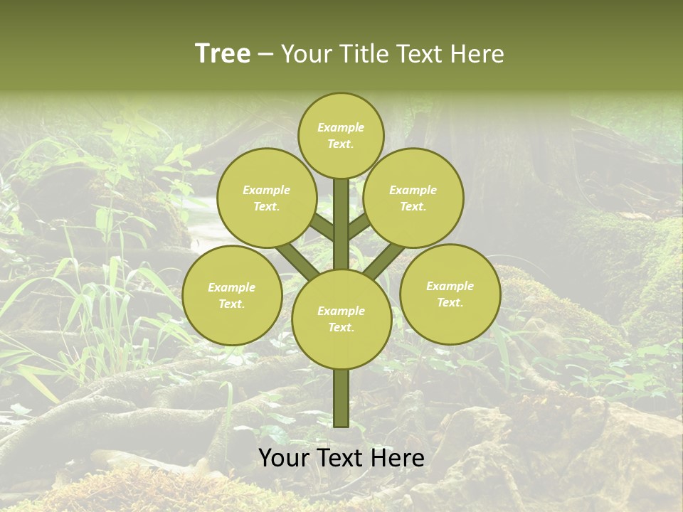 Wet Hike Woods PowerPoint Template