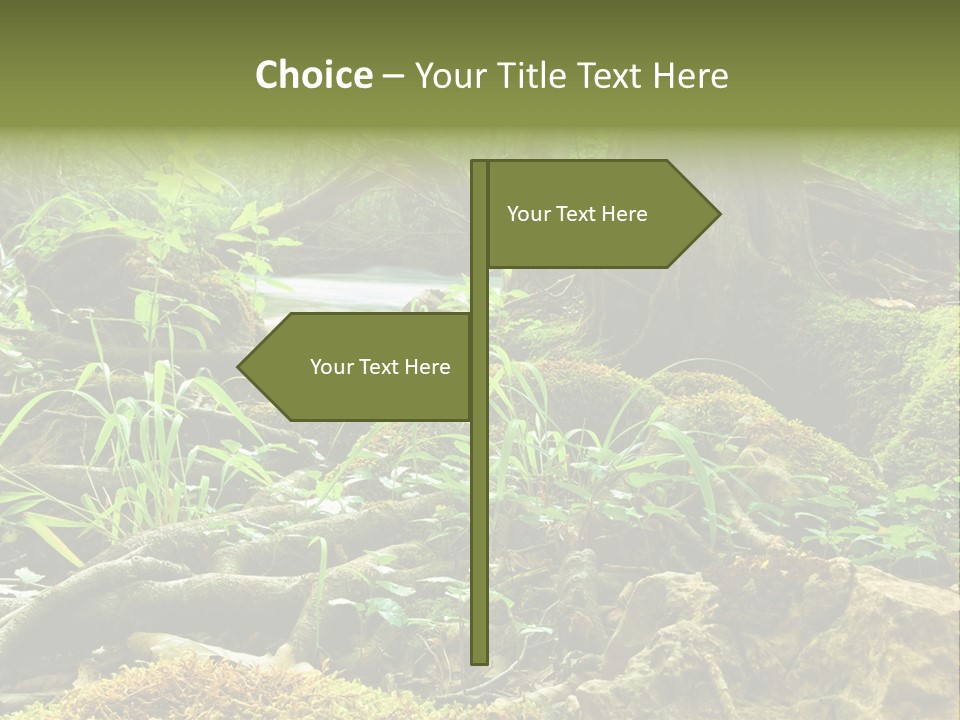 Wet Hike Woods PowerPoint Template