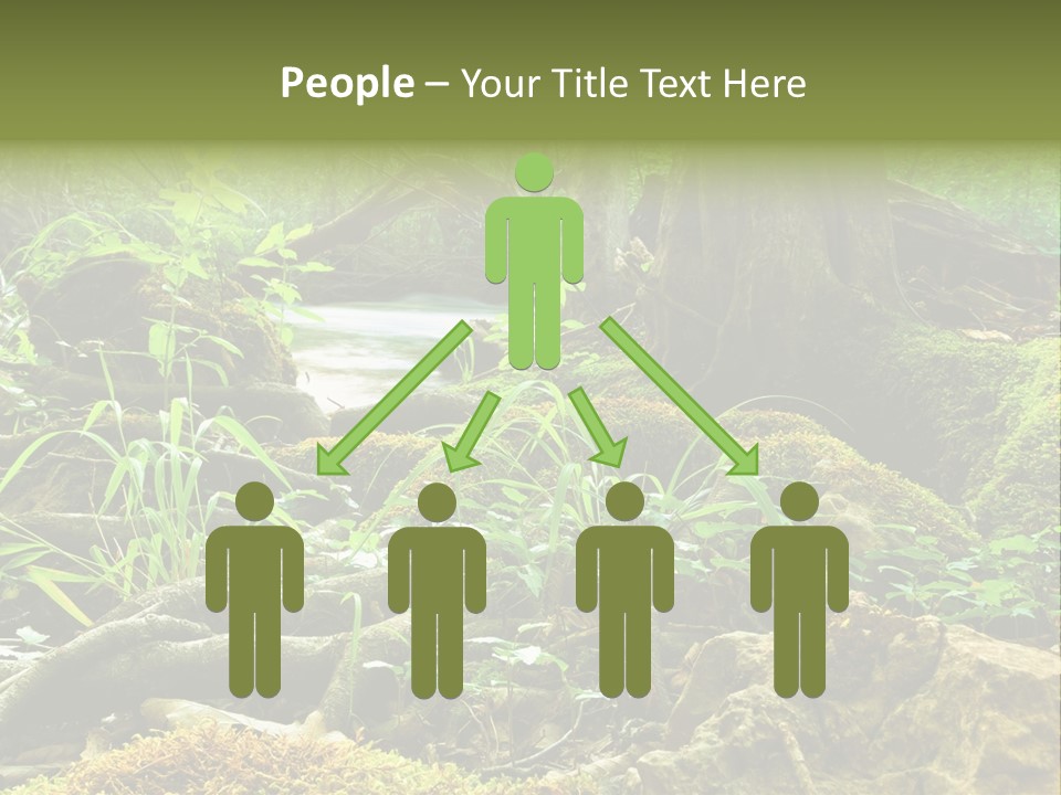 Wet Hike Woods PowerPoint Template