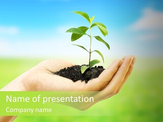 Hope Creative Grass PowerPoint Template