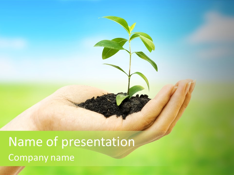 Hope Creative Grass PowerPoint Template