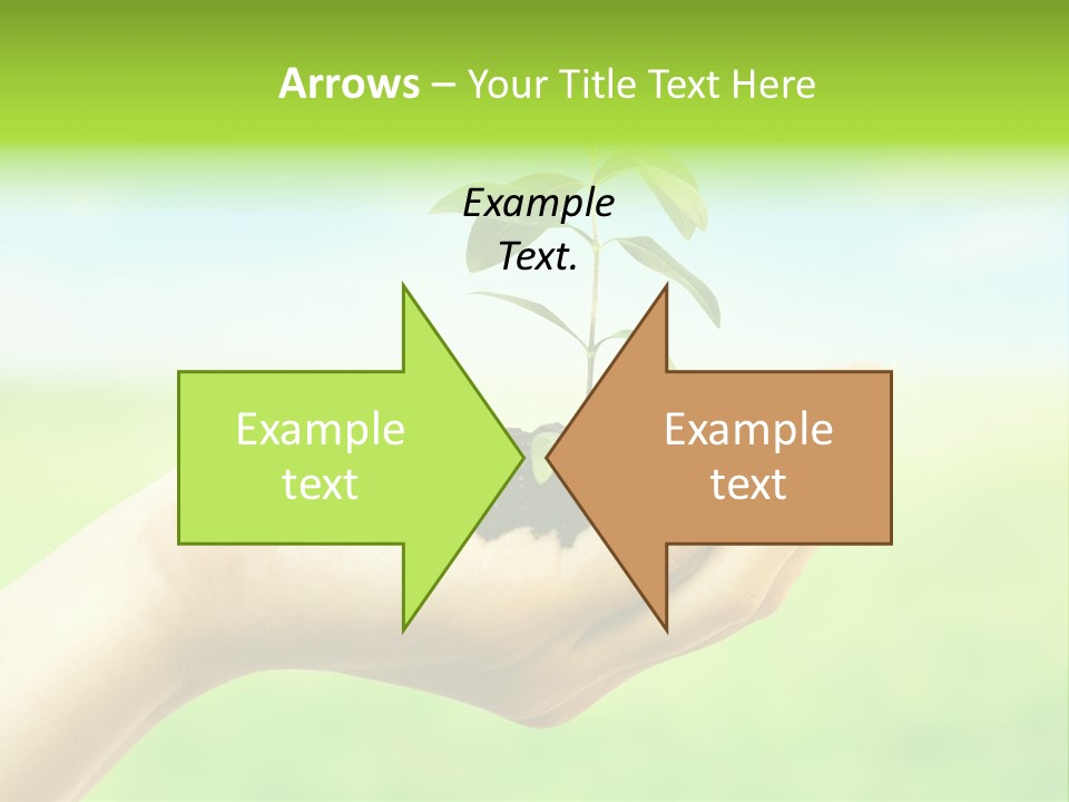 Hope Creative Grass PowerPoint Template