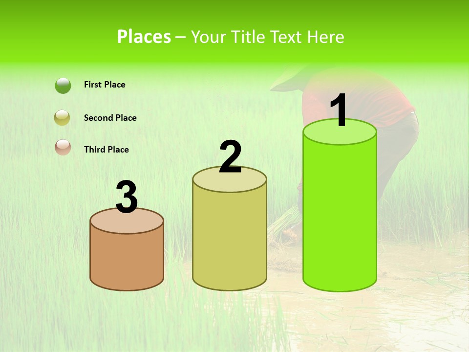 Job Thai Workplace PowerPoint Template