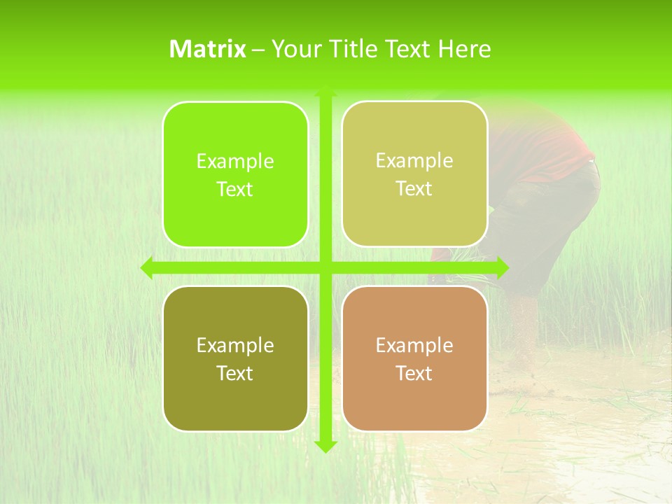 Job Thai Workplace PowerPoint Template