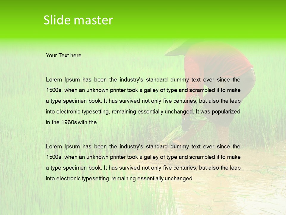 Job Thai Workplace PowerPoint Template