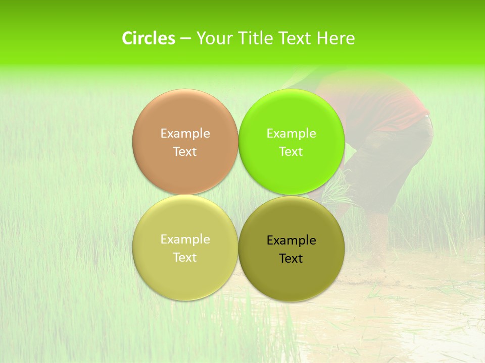 Job Thai Workplace PowerPoint Template