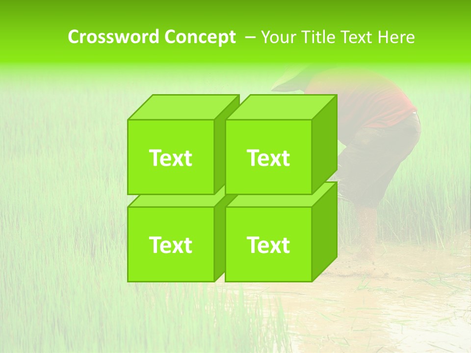 Job Thai Workplace PowerPoint Template