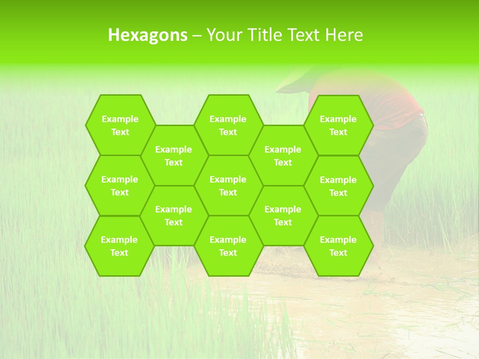 Job Thai Workplace PowerPoint Template