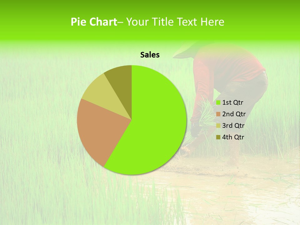 Job Thai Workplace PowerPoint Template