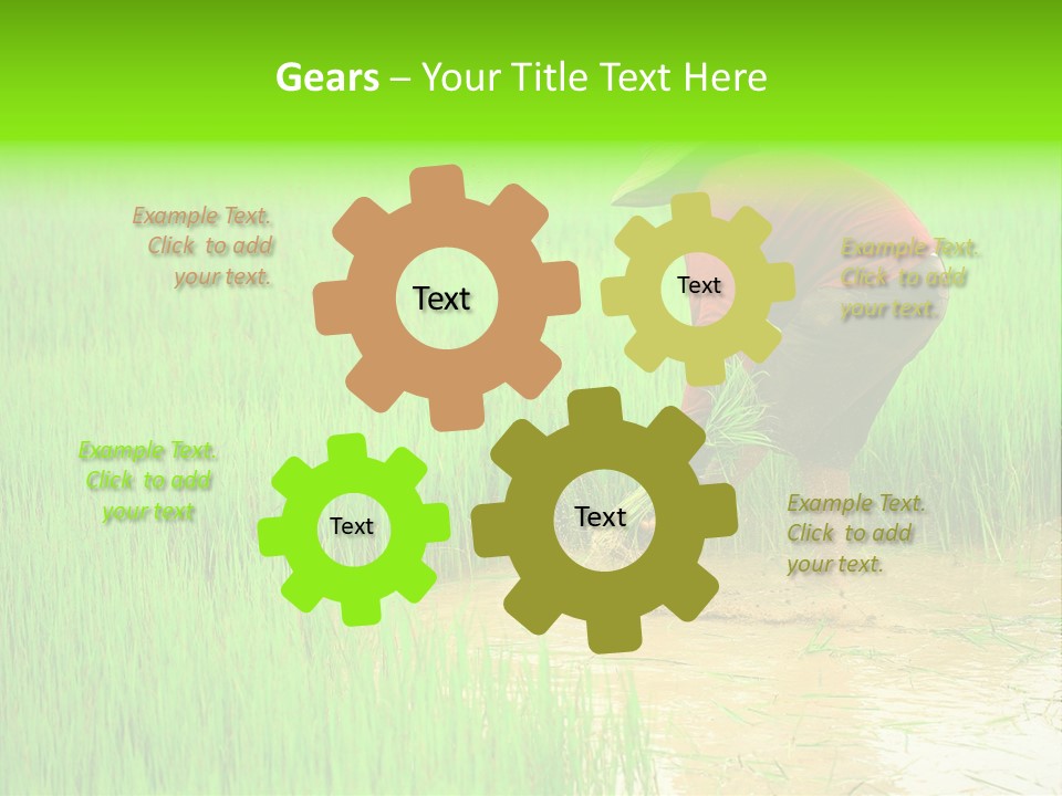 Job Thai Workplace PowerPoint Template