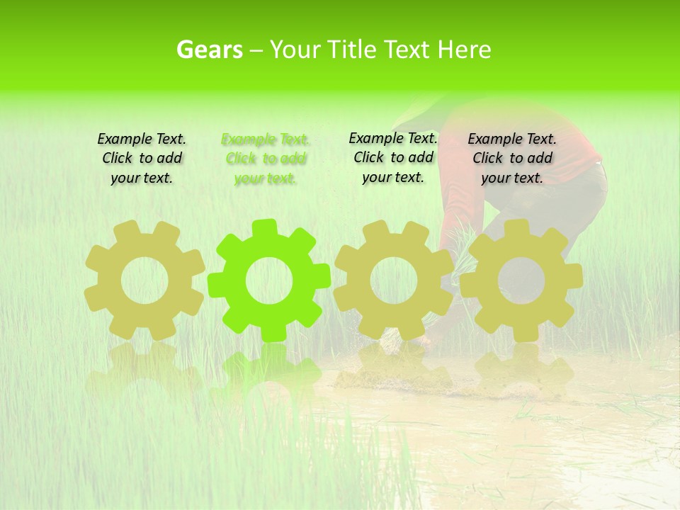 Job Thai Workplace PowerPoint Template