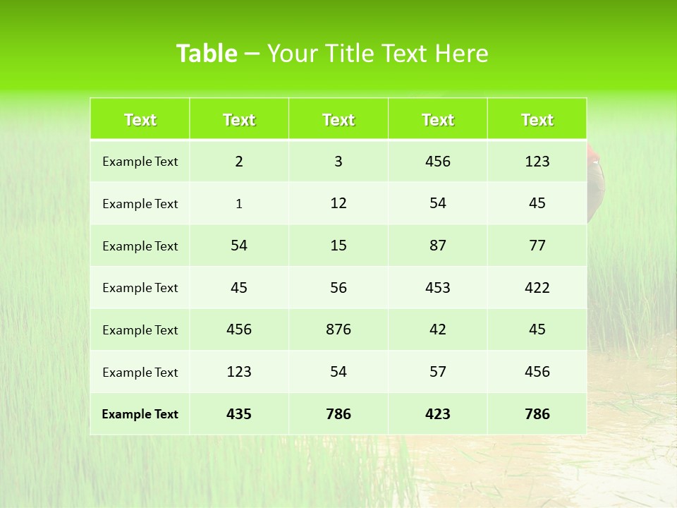 Job Thai Workplace PowerPoint Template