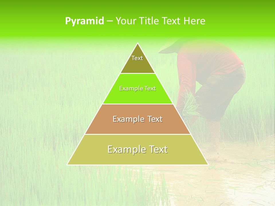 Job Thai Workplace PowerPoint Template