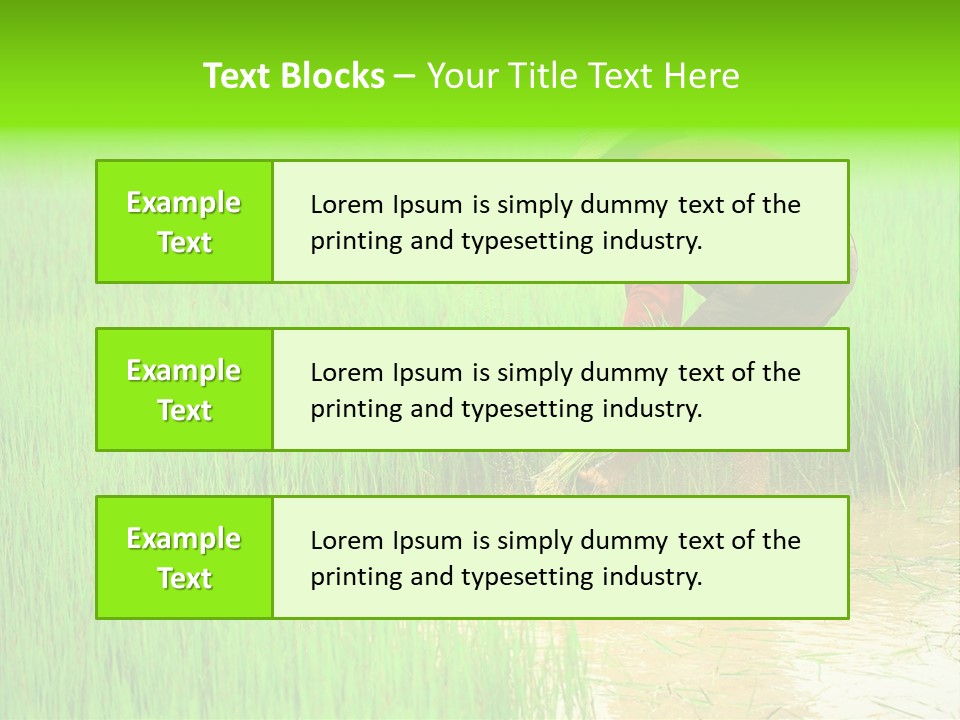 Job Thai Workplace PowerPoint Template